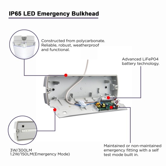 IP65 LED Emergency Exit Bulkhead Light –3h Maintained / Non-Maintained, Manual & Self-Test, LiFePO4 Battery c/w Self Adhesive Legend