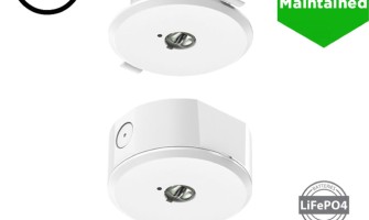 Can LED Emergency Downlights Replace Standard Downlights?