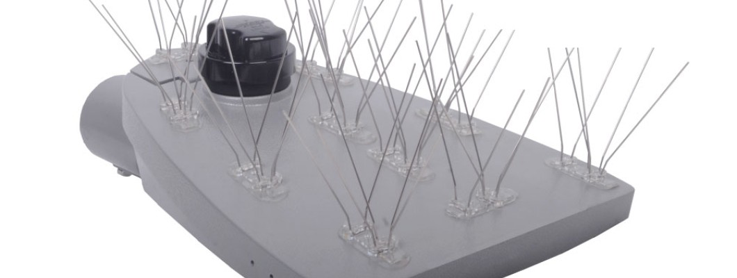 How Do I Stop Birds Damaging Lighting Equipment? How Do I Stop Birds Damaging Lighting Equipment?
