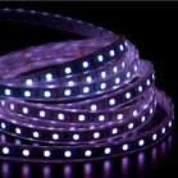 **CLEARANCE** SMD5050 12V Flexible LED Strip - 5m 14.4W/m (60 LED/m) - Single colour IP21